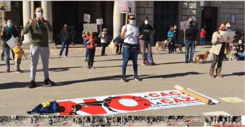 La sociedad vuelve a rechazar el negocio de la caza
