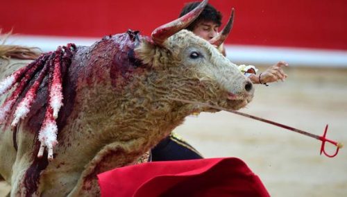 Concentración contra el sadismo