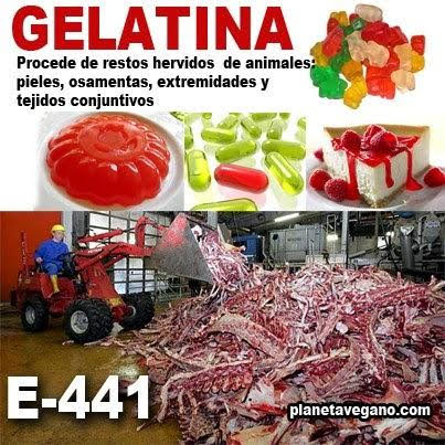 chucherías origen animal chucherías origen animal