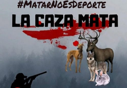 Un cazador se enfrenta a más de 25 años de cárcel