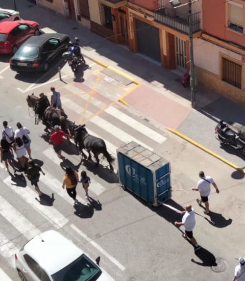 feria animalista de Paiporta fue un ejemplo especialmente para los más pequeños