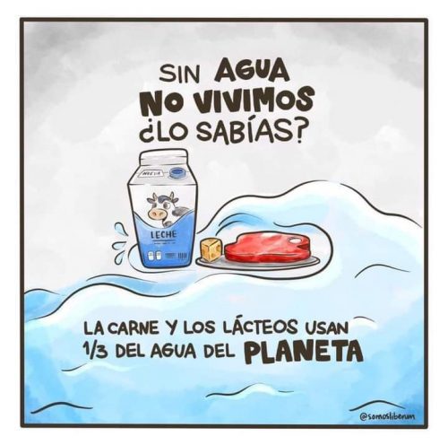 ¿SE HABLÓ DEL CONSUMO ANIMAL?