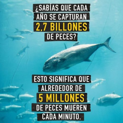 personas veganas limpian una playa 