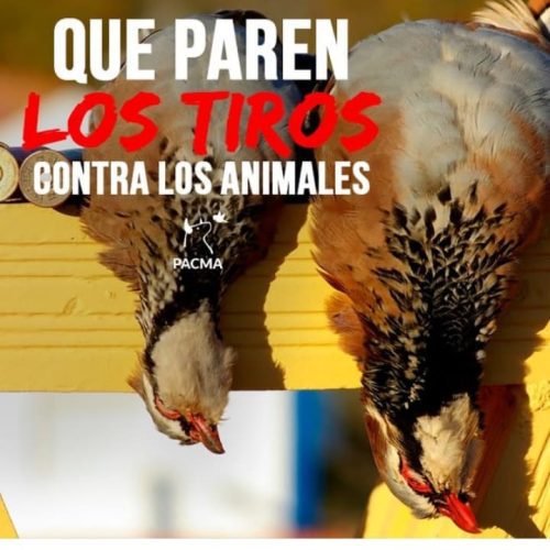TODOS MENOS PACMA AL SERVICIO DE LOS CAZADORES
