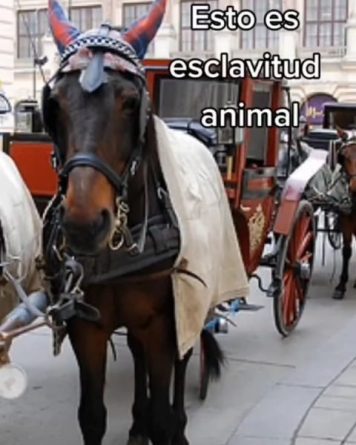 EL PUNTO DE VISTA JURÍDICO