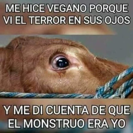 Hunting dog rescue TANAMERA también ha participado por la retirada de la enmienda codiciosa.