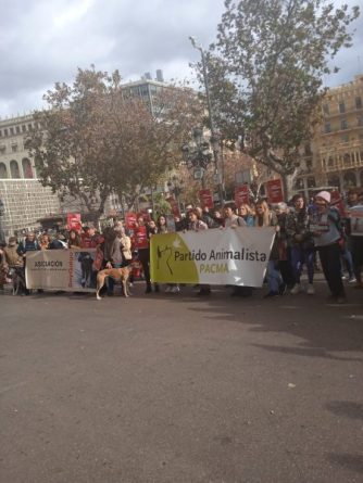 PACMA protesta por una ley que proteja a los animales y no a los maltratadores