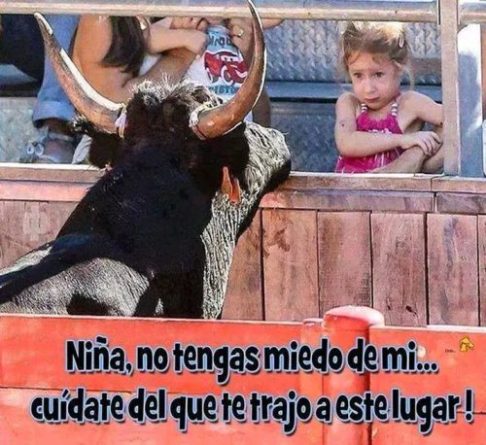obligar a niños a embolar toros poniéndolos en peligro obligar a niños a embolar toros poniéndolos en peligro