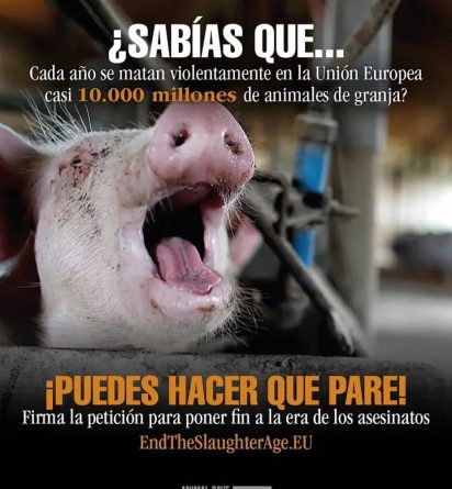ALTERNATIVAS VEGETALES ALTERNATIVAS VEGETALES