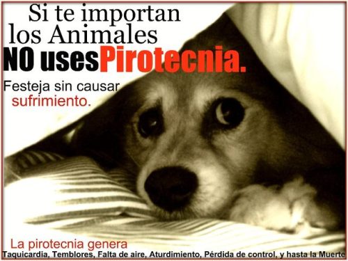 CRUELDAD ABSOLUTA QUE NO LE IMPORTA A PRÁCTICAMENTE NADIE CRUELDAD ABSOLUTA QUE NO LE IMPORTA A PRÁCTICAMENTE NADIE