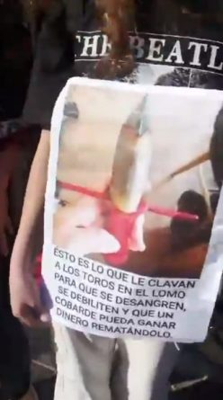 PRÓXIMA CONCENTRACIÓN ANTITAURINA PRÓXIMA CONCENTRACIÓN ANTITAURINA