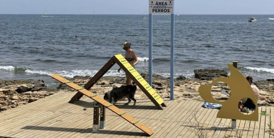 Las Mascotas de Alicante Deciden Plantar Toallas en las Playas Alicantinas