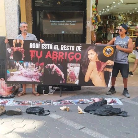 lo que se esconde tras la industria peletera