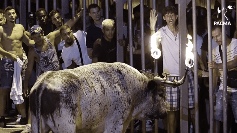 rechazar la tauromaquia ante el Ayuntamiento Alfafar 