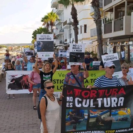 Manifestación en Jávea contra los anacrónicos «Bous a la mar»