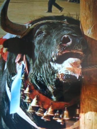Sollozos de angustia de un toro en Benaguacil