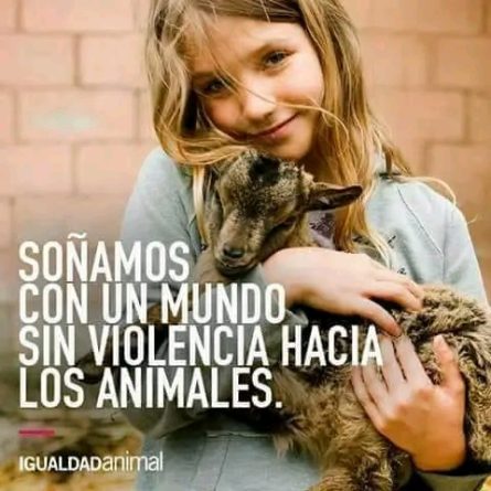 lo que la industria porcina no quiere que sepas