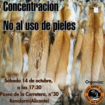 Convocan una protesta en Benidorm para denunciar las prácticas de la industria peletera