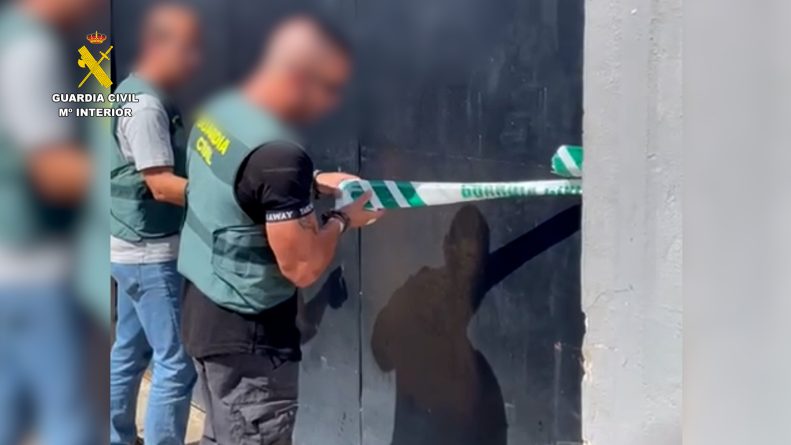 Intervenidas más de 74 toneladas de aceitunas robadas en Sevilla en dos operaciones