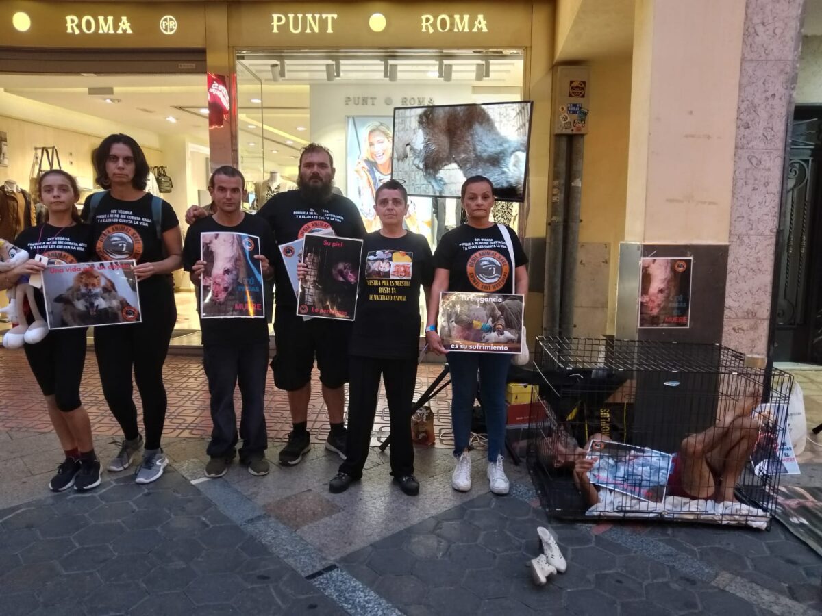 Mostramos en Benidorm la realidad de la industria peletera