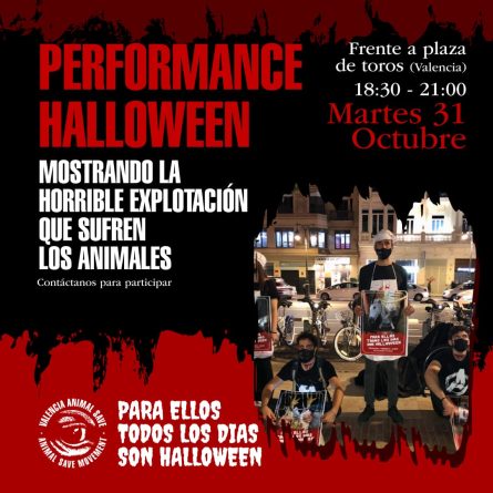 Pollets de la terreta