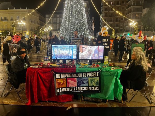 El Día de los Derechos de los Animales no debe distinguir entre especies