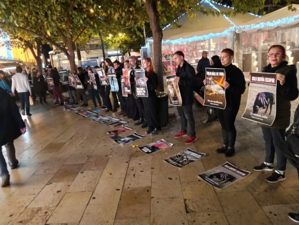 Línea silenciosa en el centro de Valencia en defensa de todas las especies de animales
