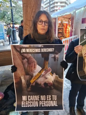 silenciosa en el centro de Valencia en defensa de todas las especies de animales