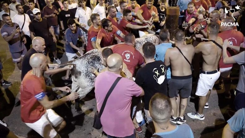 Acude el domingo a protestar contra el toro embolado de Alfafar