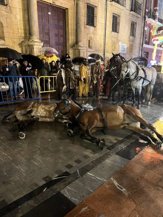 Se sigue abusando de los animales en las cabalgatas infantiles de Reyes