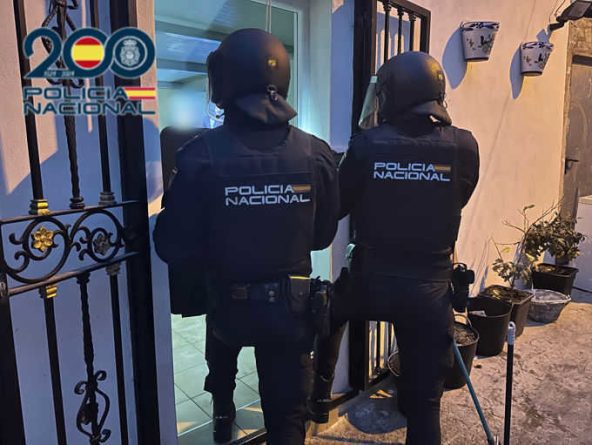 Desarticulada Banda Criminal en Alicante: Robos Violentos y Colaboración Policial