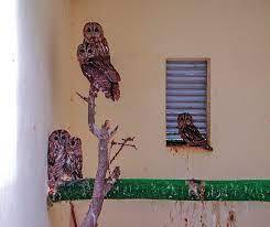 Mejoras en el Centro de Recuperación de Fauna de Santa Faz: Atención Óptima para Animales Rescatados en Alicante