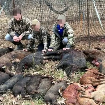 Las calles de toda España piden el fin de la caza