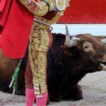 60 toros torturados hasta la muerte durante estas fallas