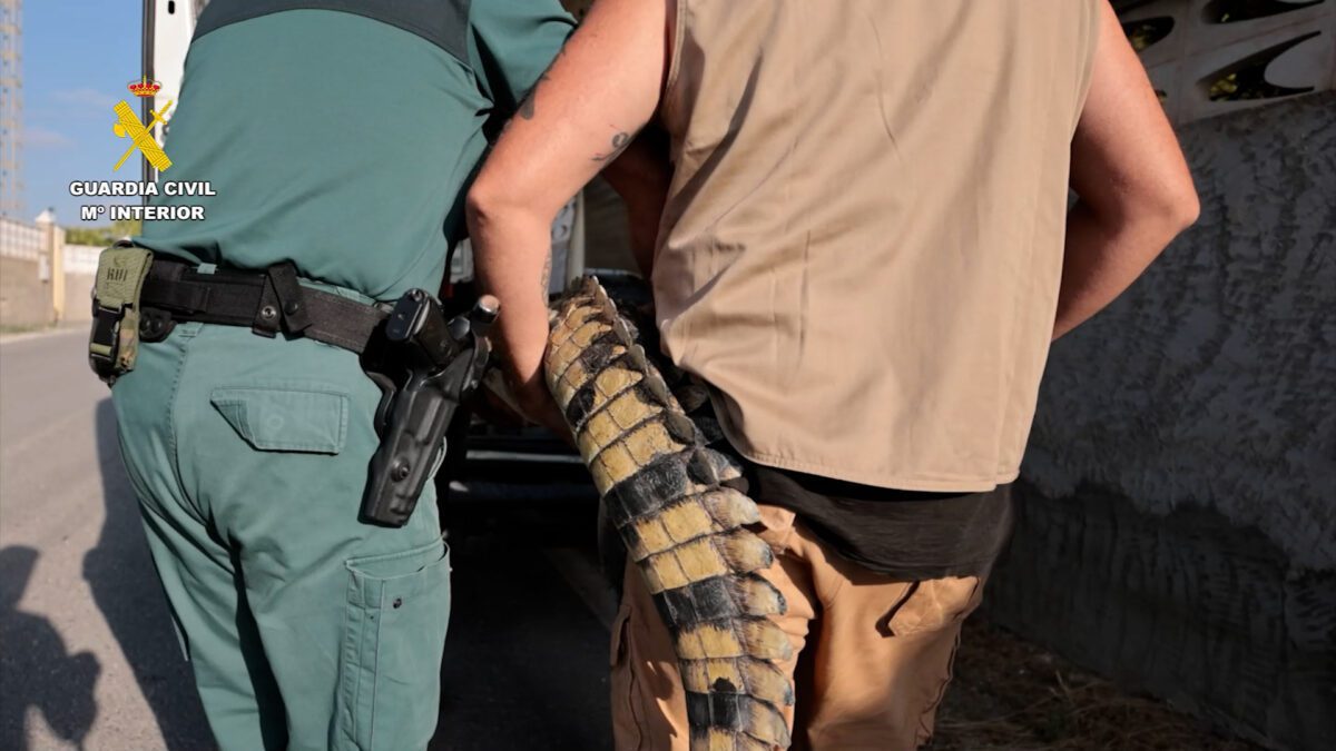 La Guardia Civil rescata varios animales protegidos