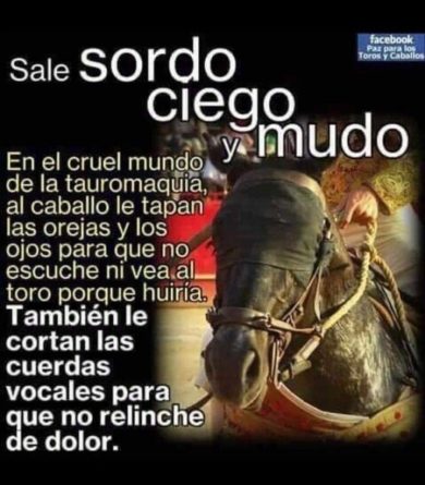 toros torturados hasta la muerte durante estas fallas