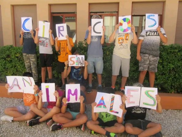 La ley sigue sin proteger a los animales