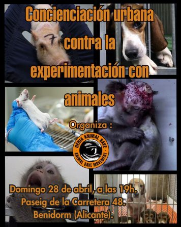 Nuevo acto en Alicante contra la anacrónica
