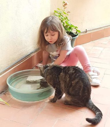 Pedro Sánchez debería atender la petición de la familia de Vera, una de las niñas fallecidas en el hinchable Pedro Sánchez debería atender la petición de la familia de Vera, una de las niñas fallecidas en el hinchable