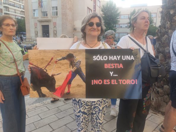 Actividades Durante la Concentración