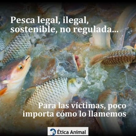 Día mundial de los océanos