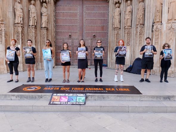 Realizan en Valencia una línea silenciosa contra el transporte de animales vivos