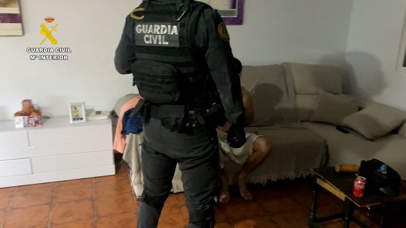 Desarticulada una organización criminal que había construido zulos en viviendas para el cultivo de marihuana