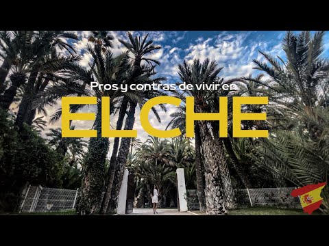 Pros y Contras de vivir en Elche