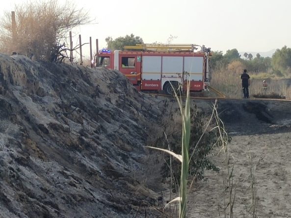 Detalles del Operativo: Cuerpos de Emergencia en Acción Detalles del Operativo: Cuerpos de Emergencia en Acción