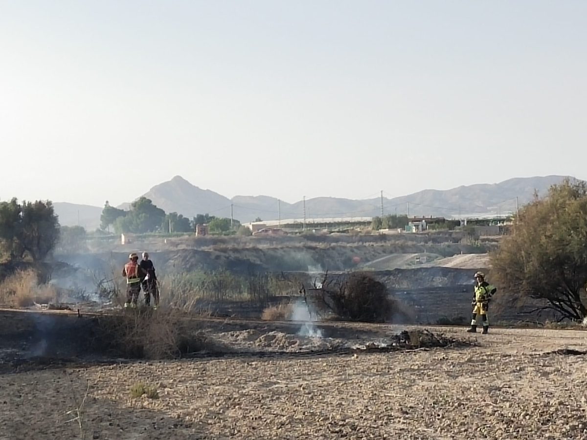 Incendio en Aspe: Vegetación en Llamas Cerca del Campo Amadeo y el Río Vinalopó