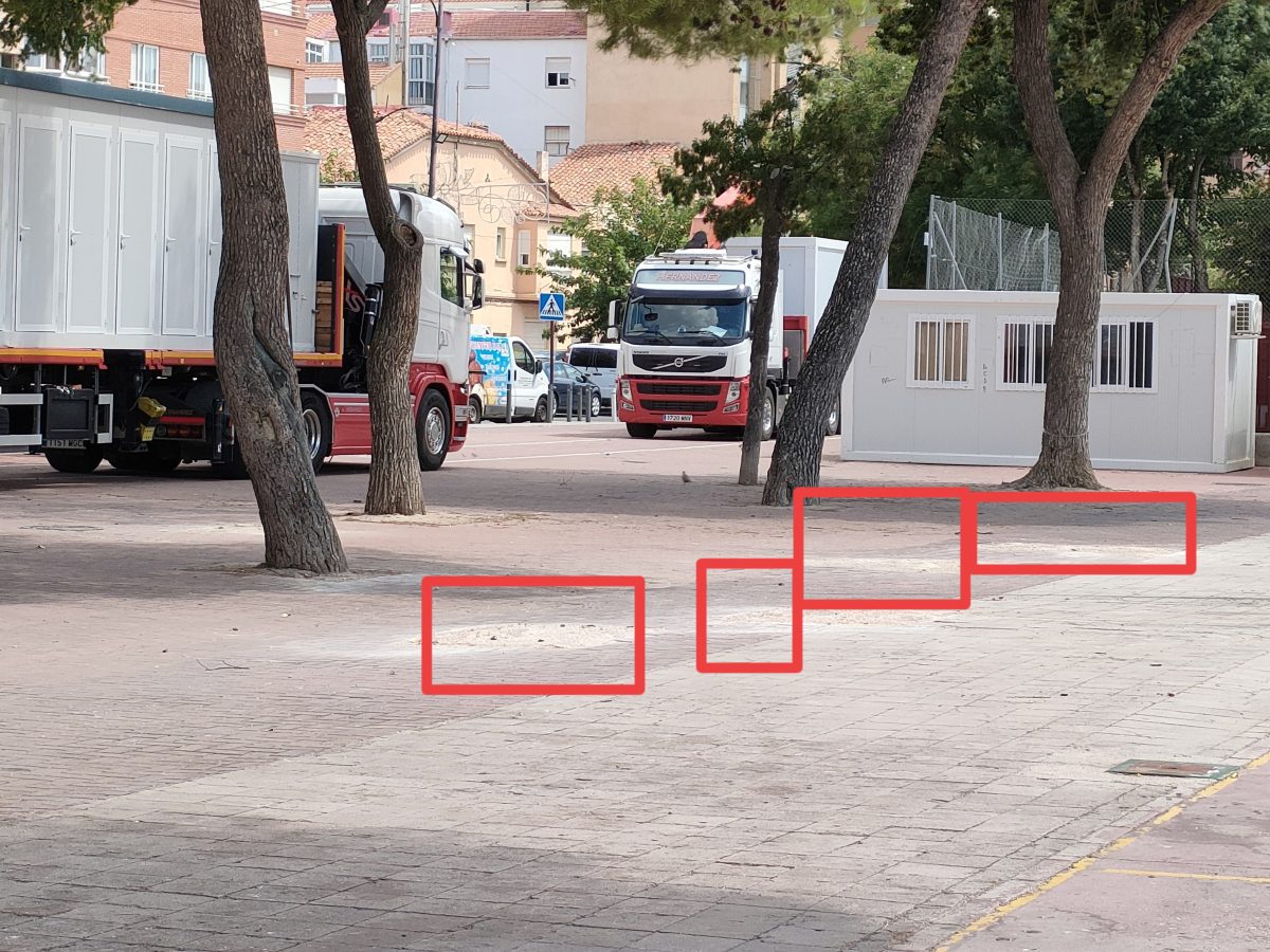 Tala de pinos por poner las carpas y lo excusan en que estaban mal, sin mostrar informe técnico