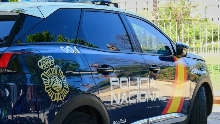 Dos personas Detenidas en Alicante por transportar 35 pistolas ocultas rumbo a Francia