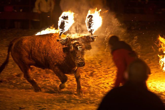 El alcalde de Alfafar debería dimitir 