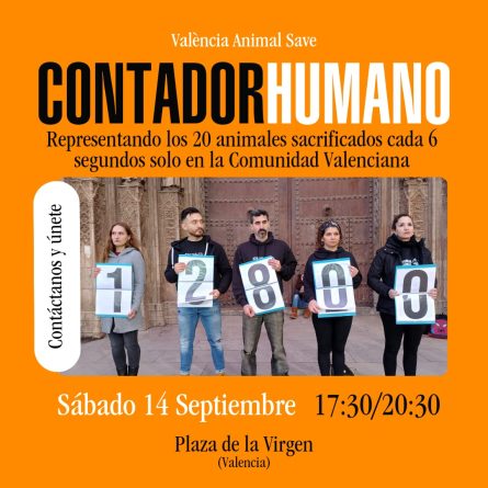 La miserable realidad frente al matadero de pollos